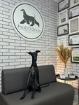ProDOGtion (Sverdlova Street, 22А), pet salon