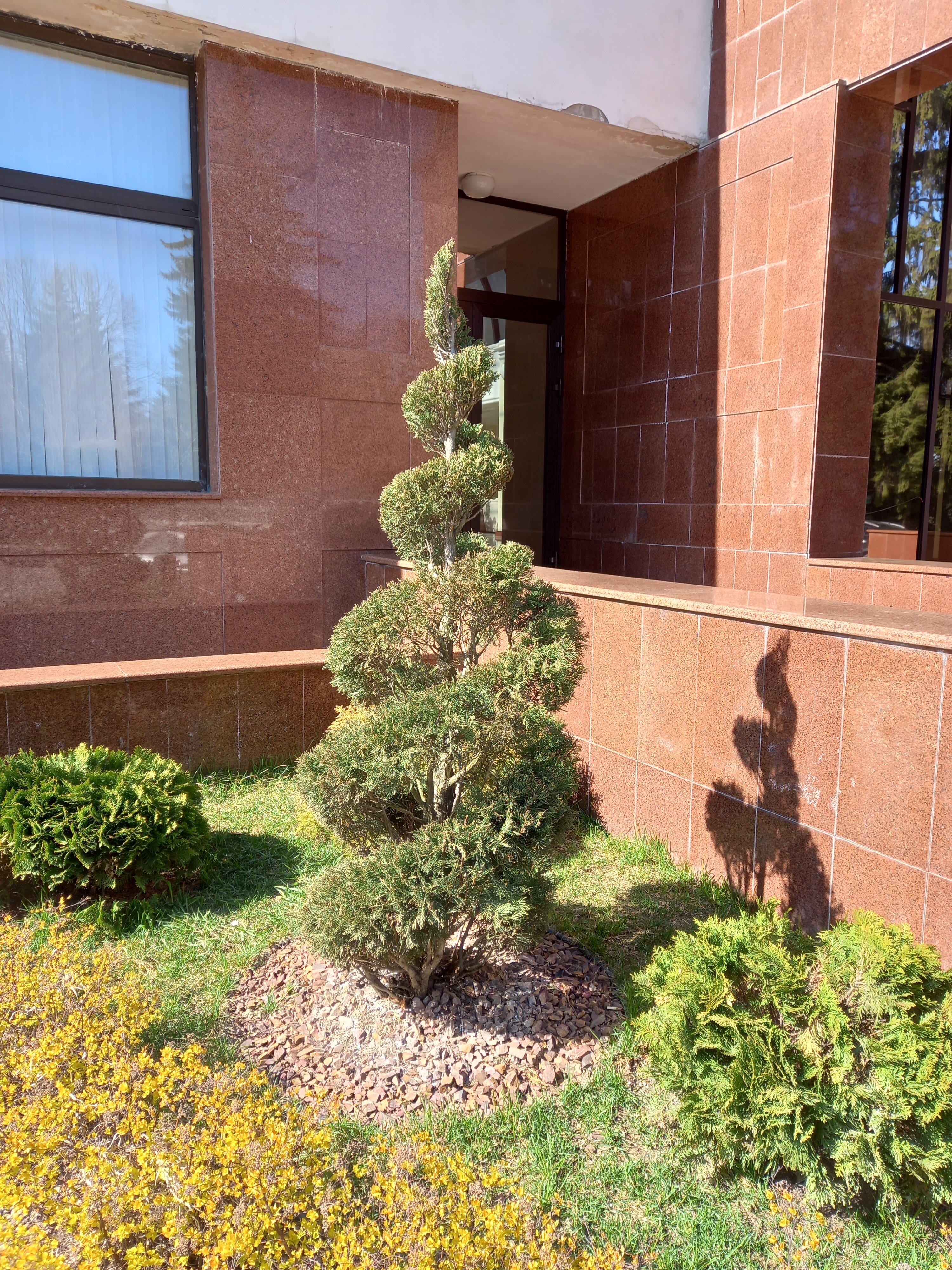 Фото Синдика