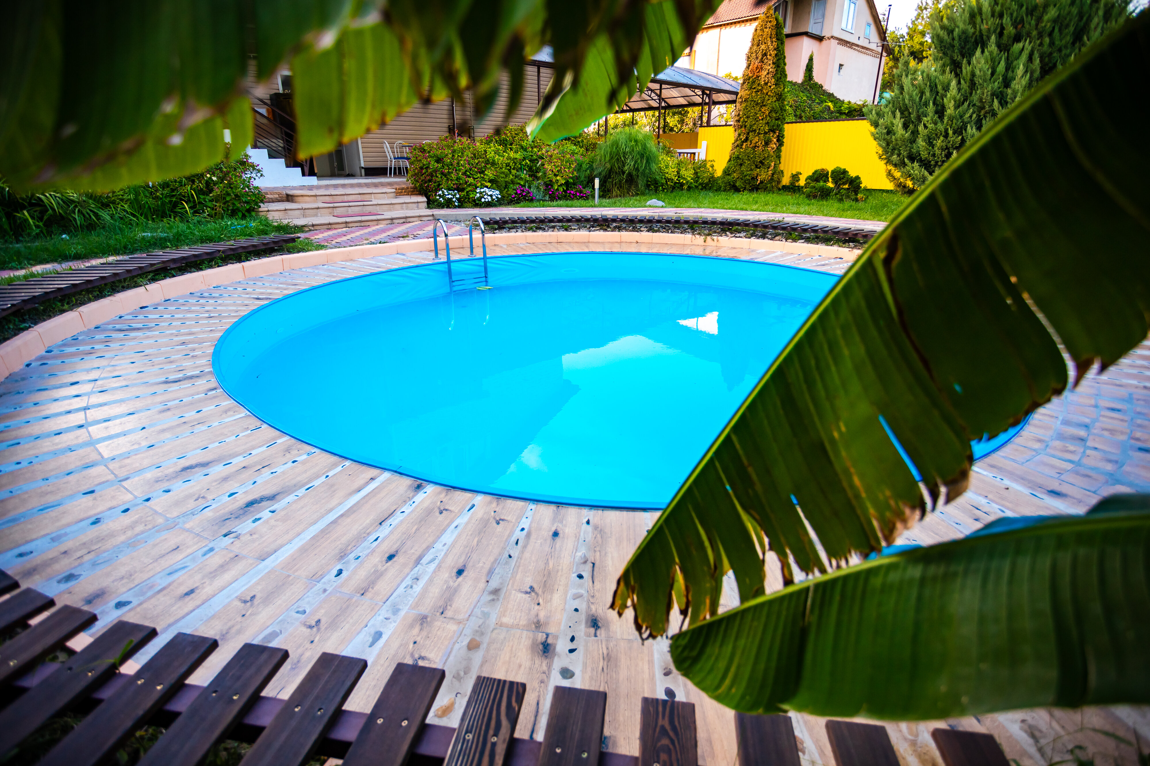 Фото Папа и море