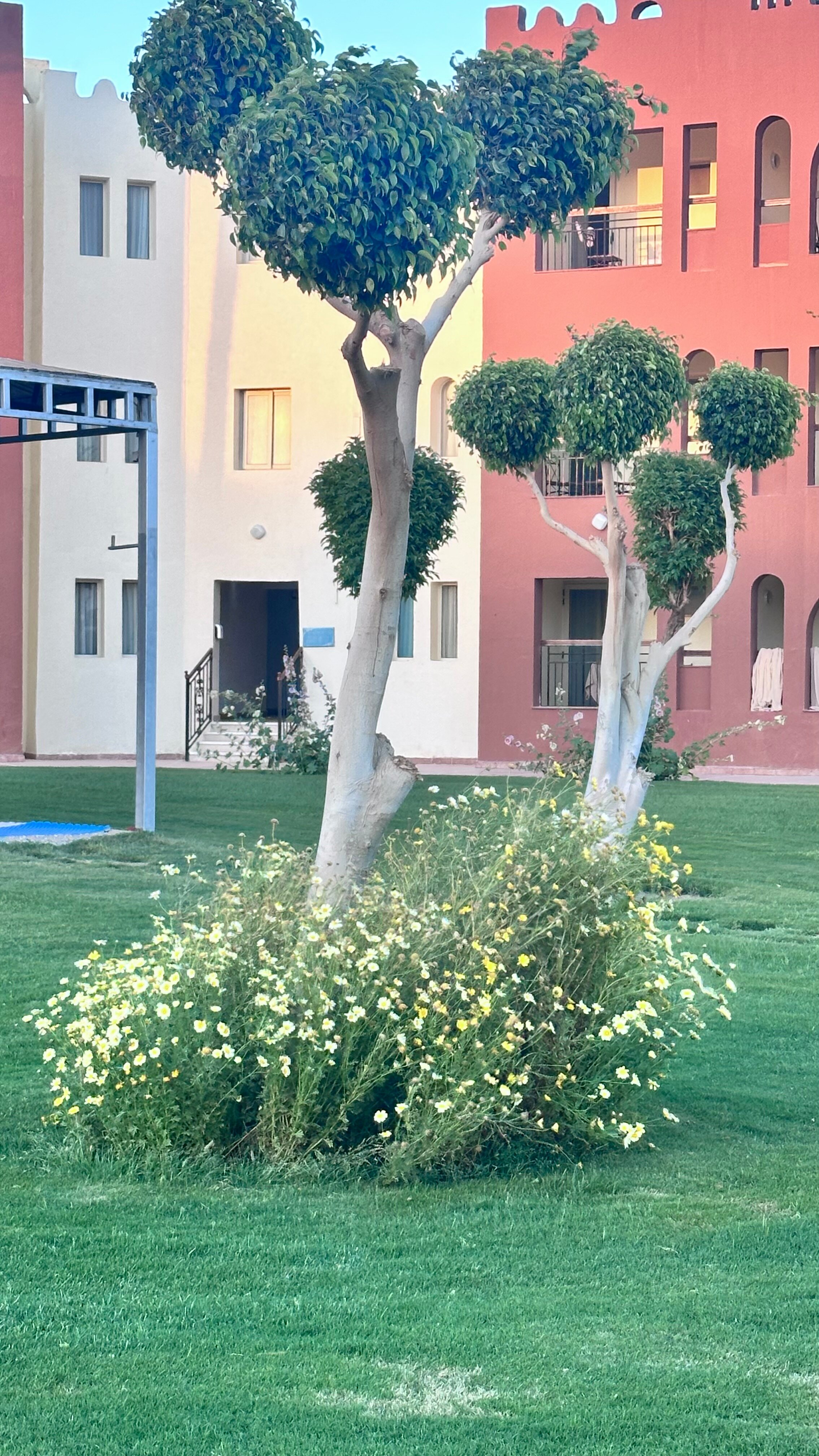 Фото Санрайз Роял Макади Резорт