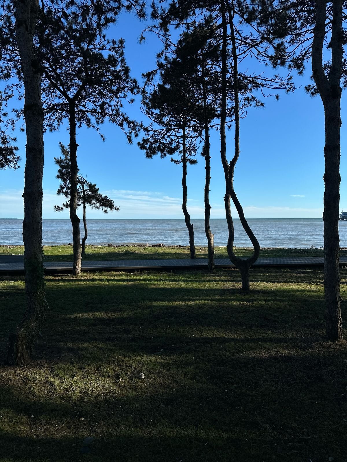 Фото Старик и море