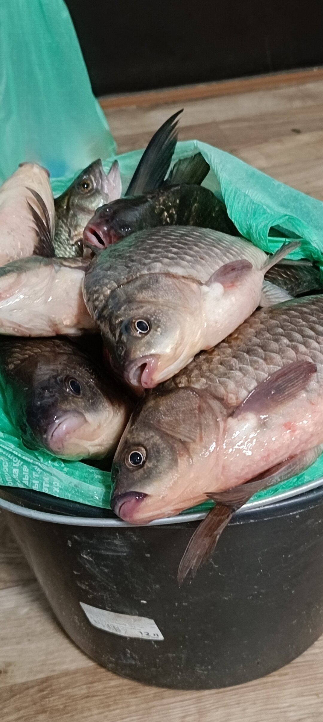 Фото КигачОК