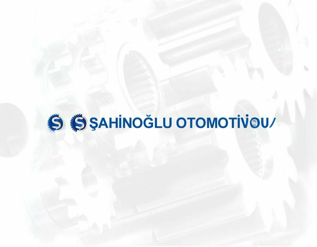 Auto parts and auto goods store Sahinoglu Otomotiv, Istanbul, photo