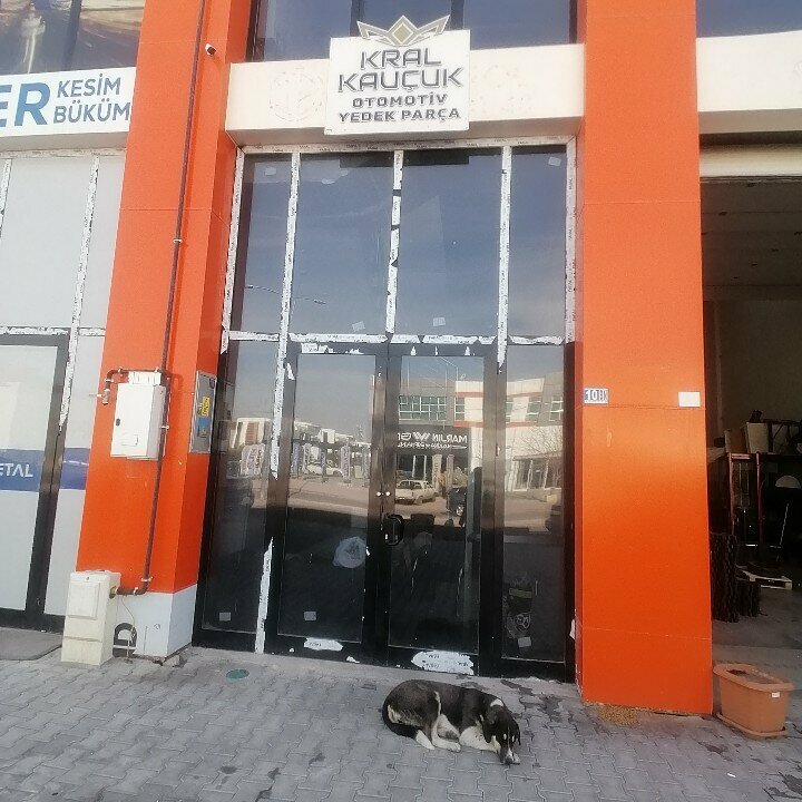 Rubber products King Rubber, Konya, photo