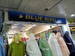 Blue bird (Abdullah Haroon Road, S17), clothing store