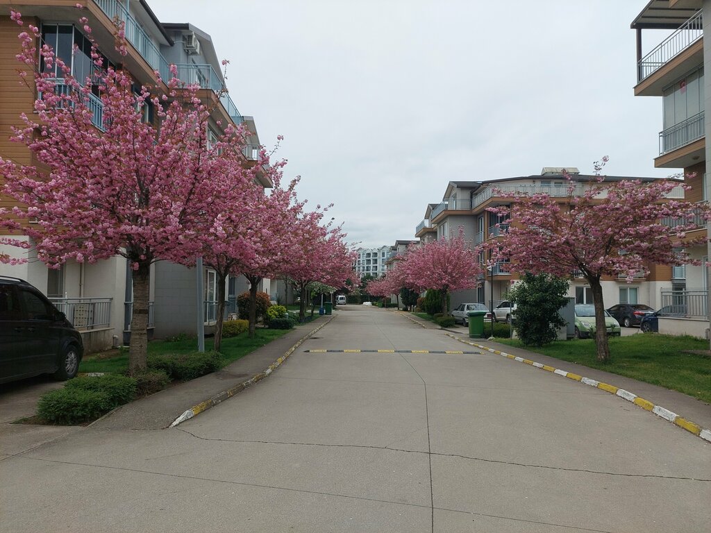 Municipal housing authority Sarimese Mansions, Kartepe, photo