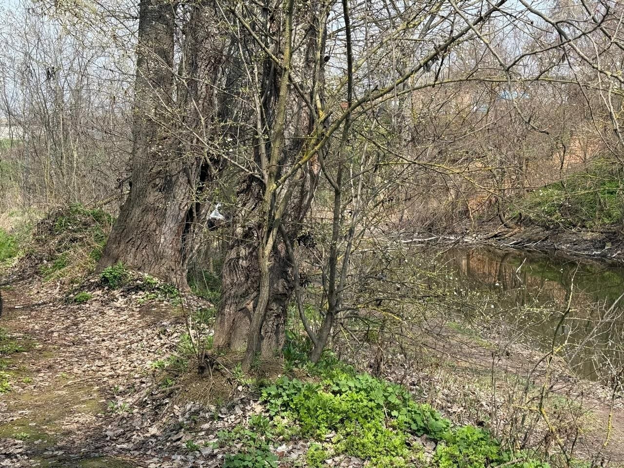 Фото Дом у речки