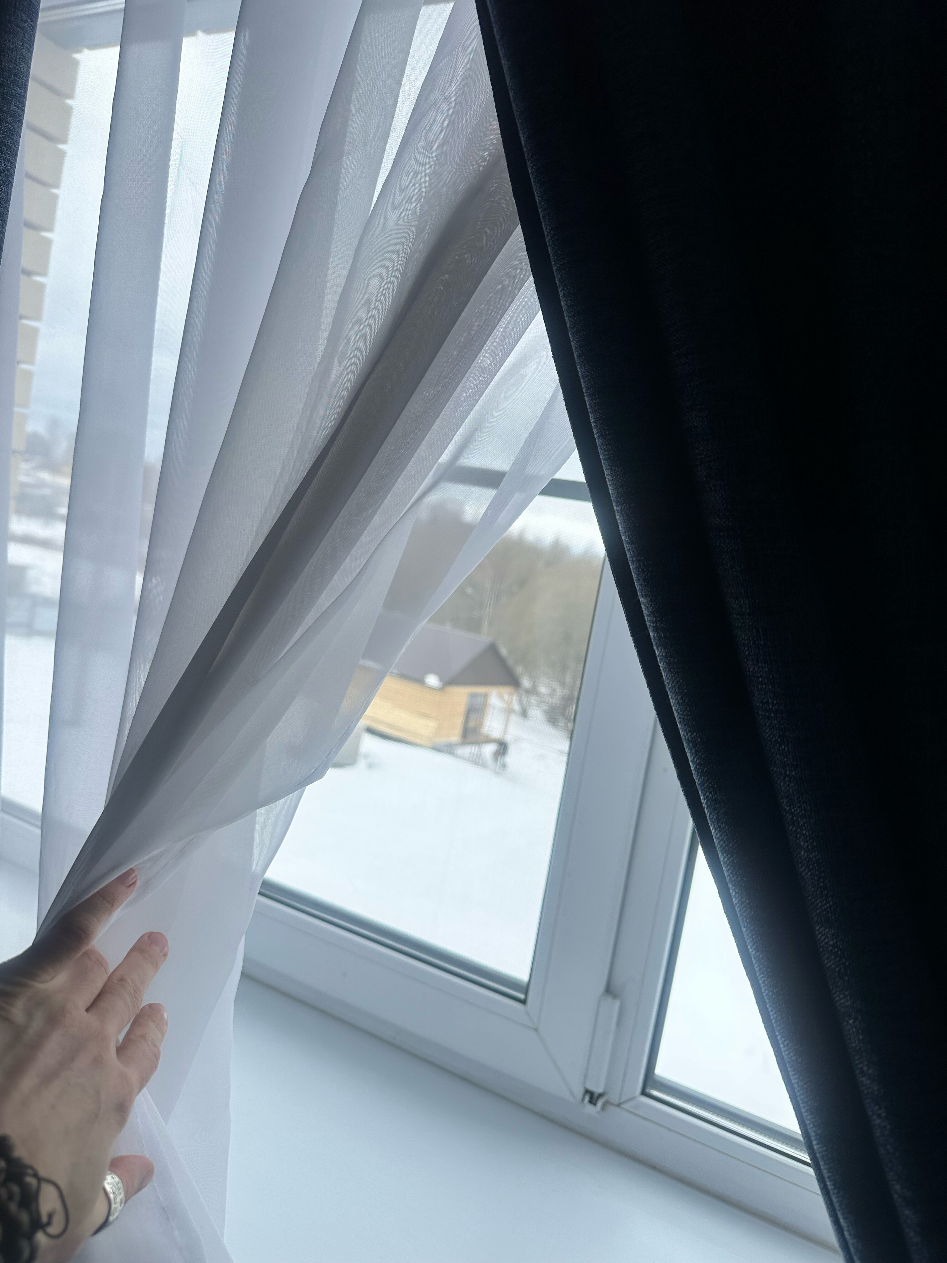 Фото Клевер