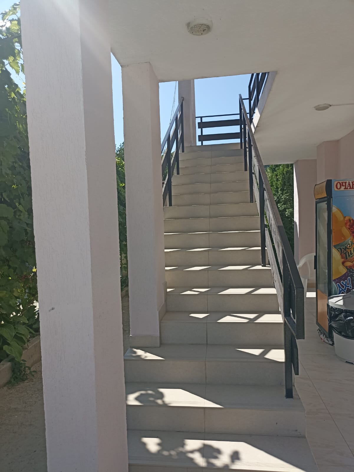 Фото Пчелка