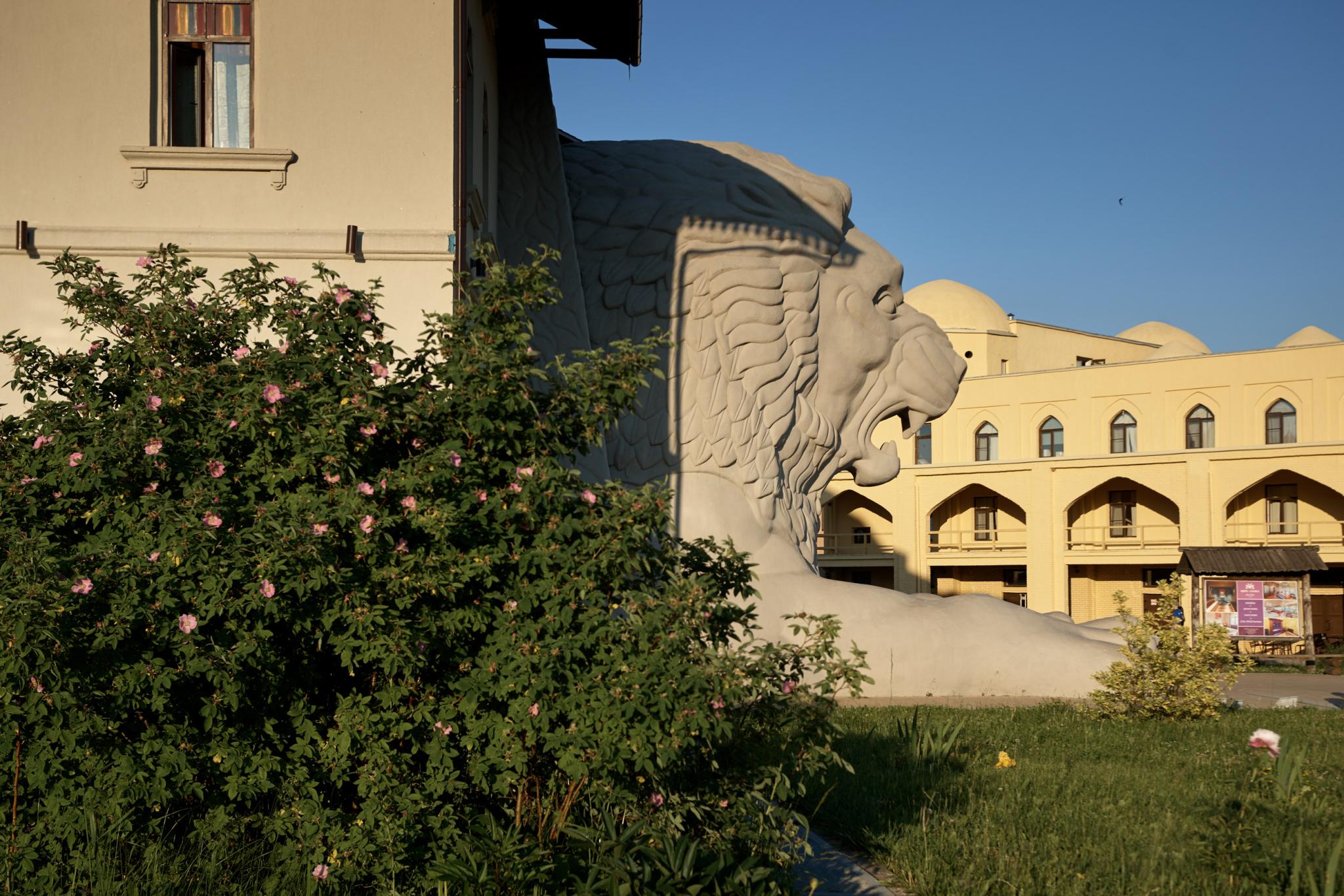 Фото Шри-Ланка