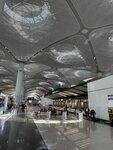 Istanbul Airport - VIP Terminal (İstanbul, Arnavutköy, Tayakadın Mah., Terminal Cad., 1), airport