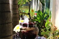 Фото Tan Kang Angkor Hotel