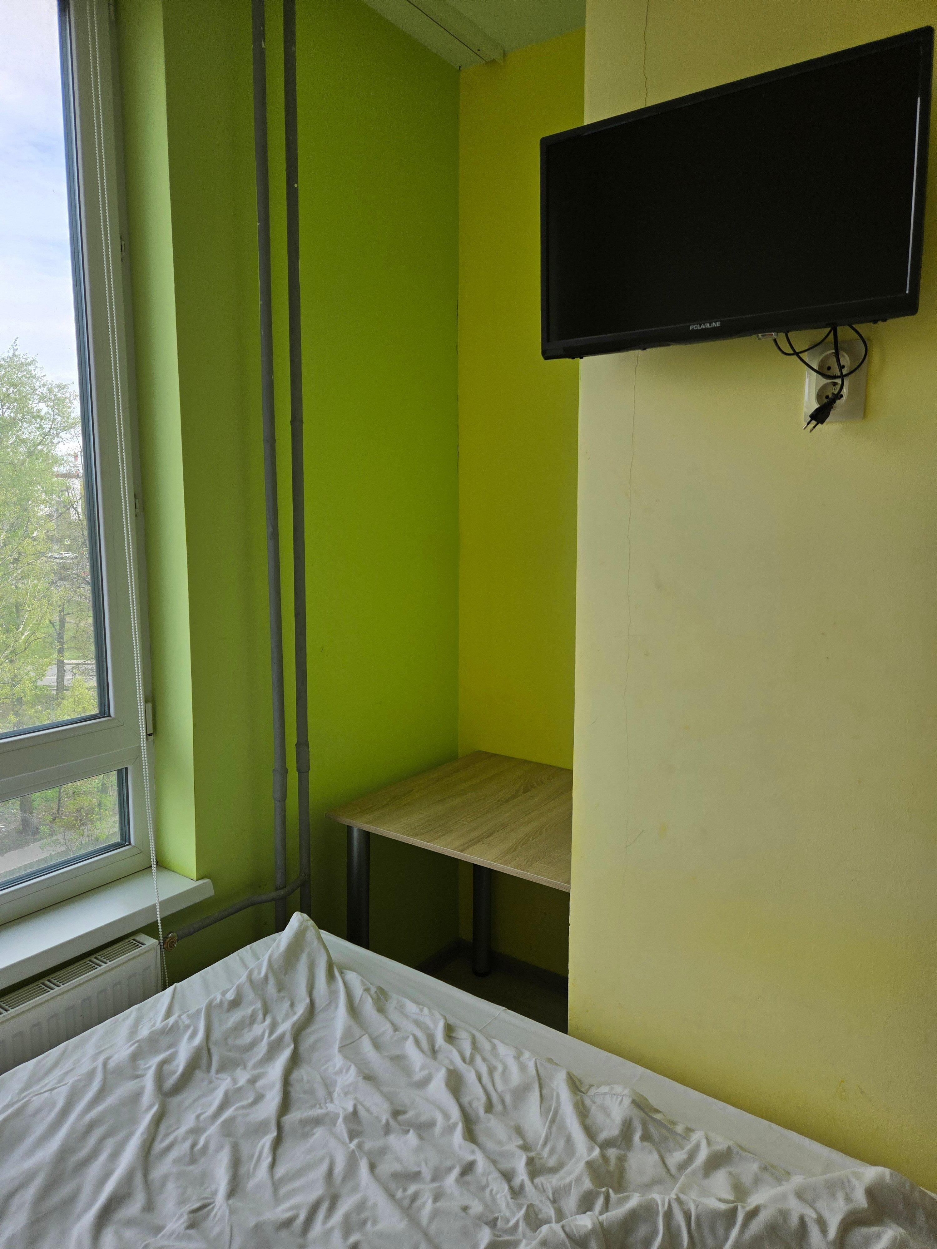 Фото Клевер Удачи