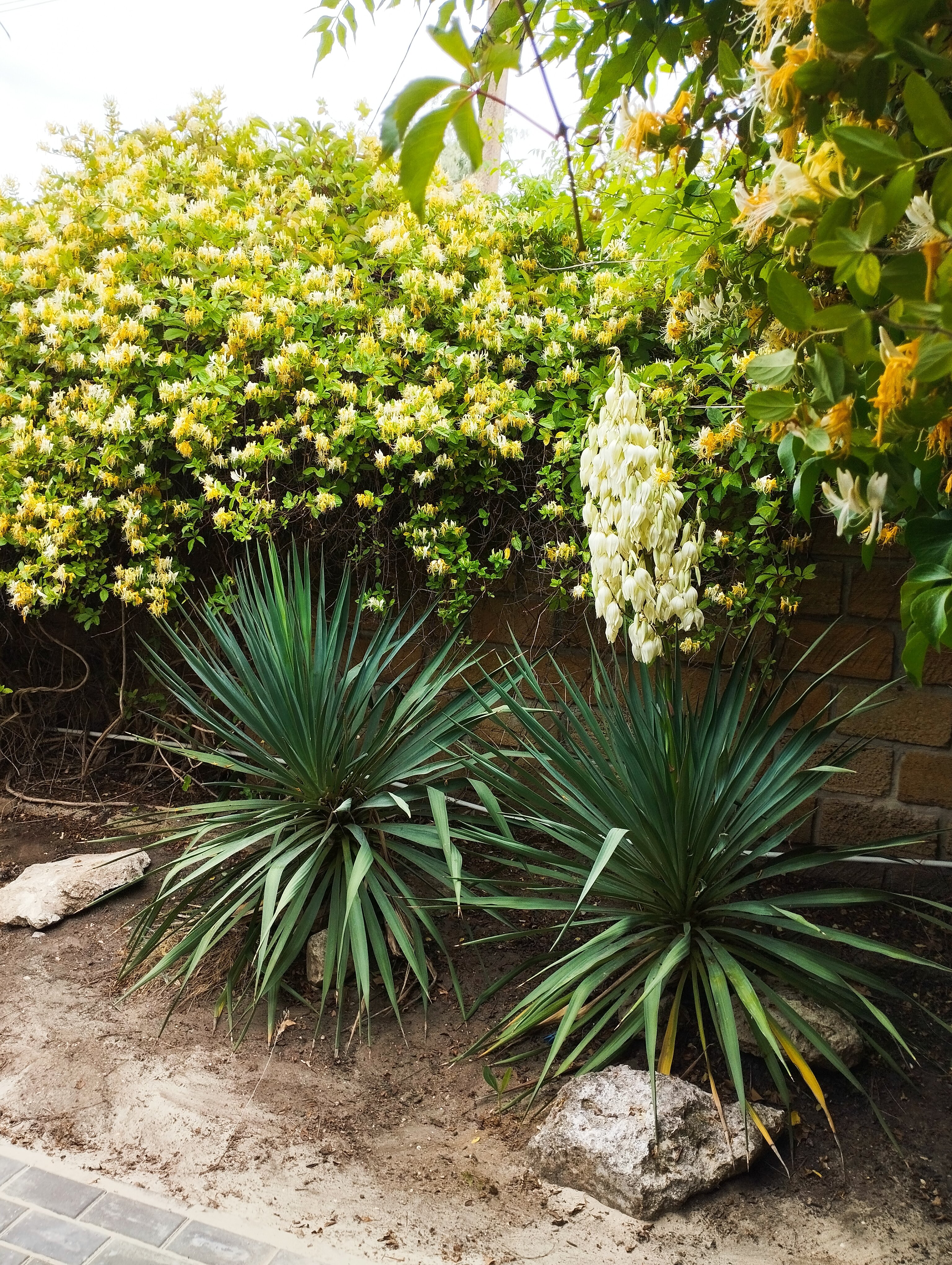 Фото Наш Казантип