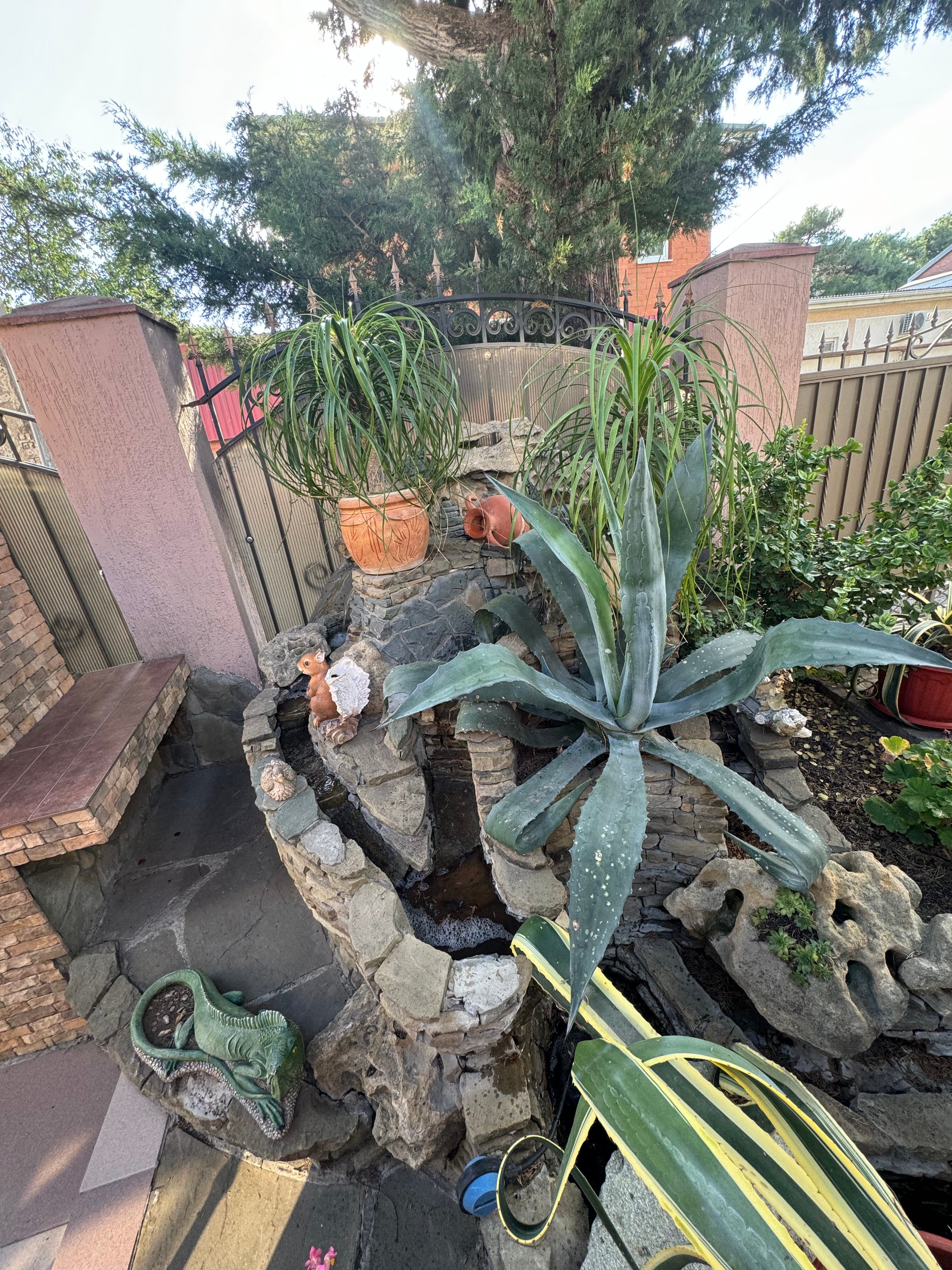 Фото Виктория