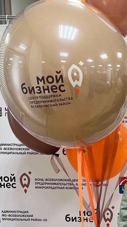 Consultores de negocios  Всеволожский центр поддержки предпринимательства, , foto