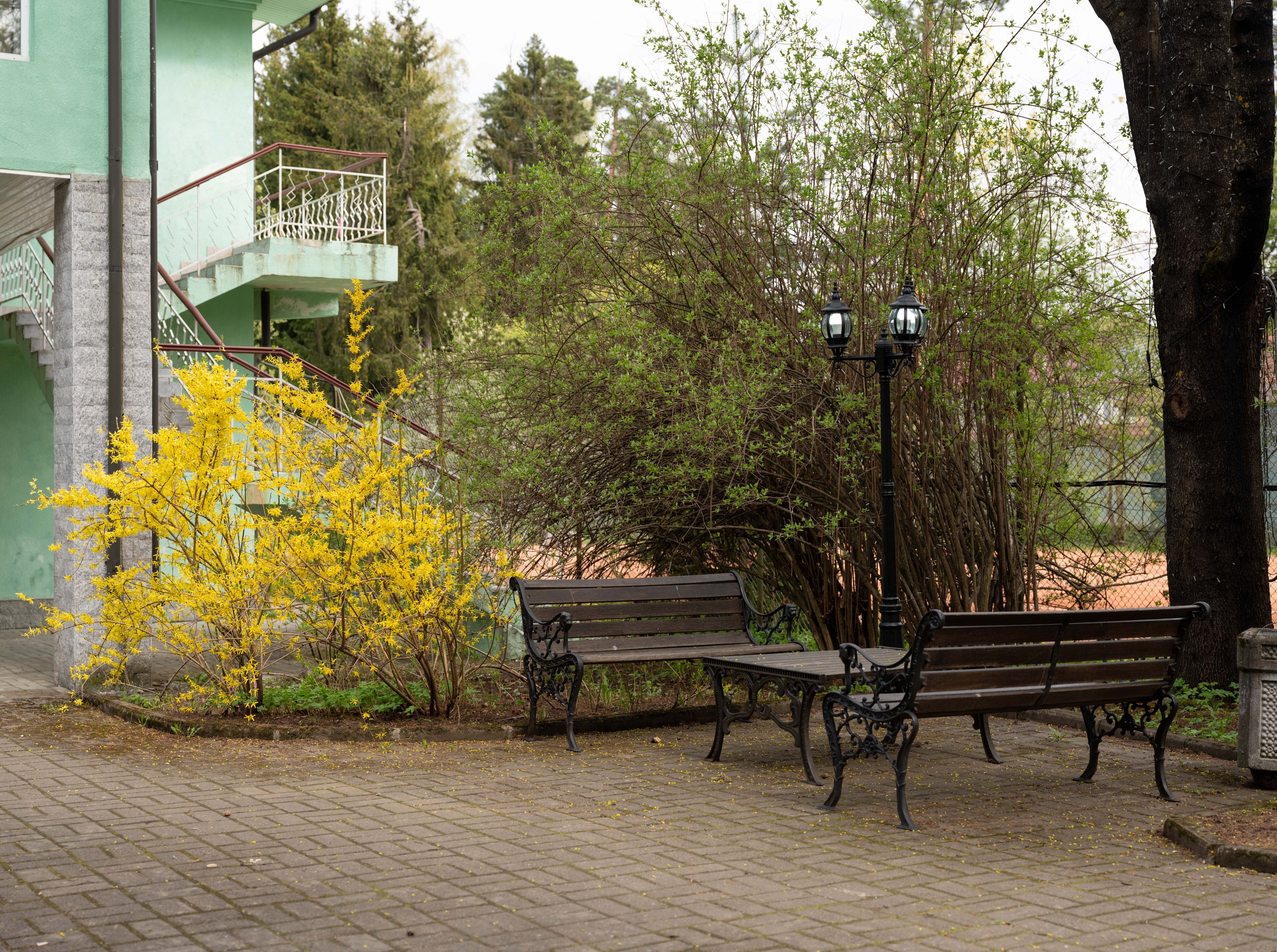 Фото Forest Relax