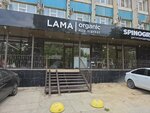 Lama Organic (Imama Shamilya Avenue, 76А), phytoproducts, dietary supplements