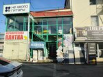 Zodchy (Gagarina Street, 63), doors