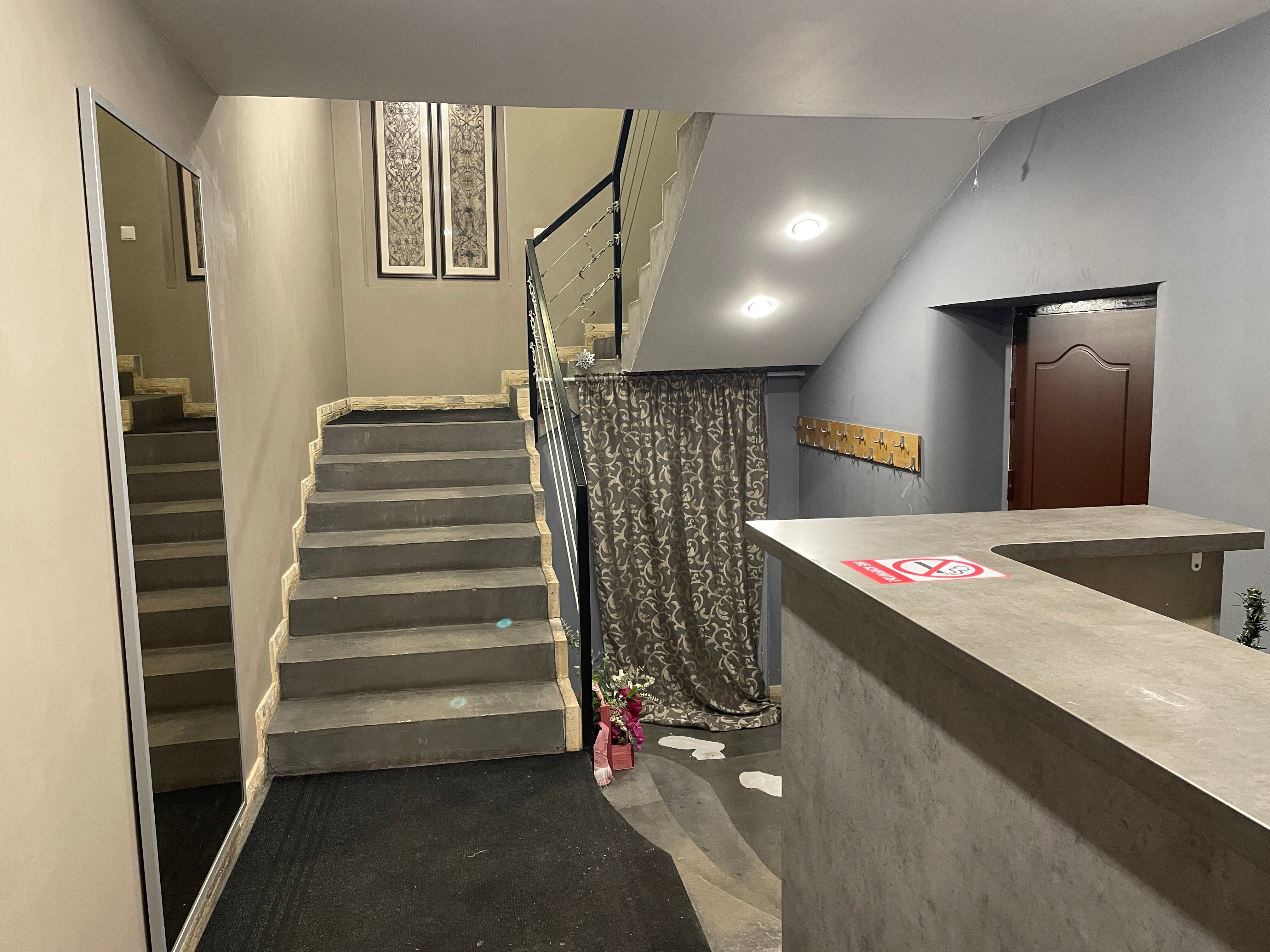 Фото Колибри