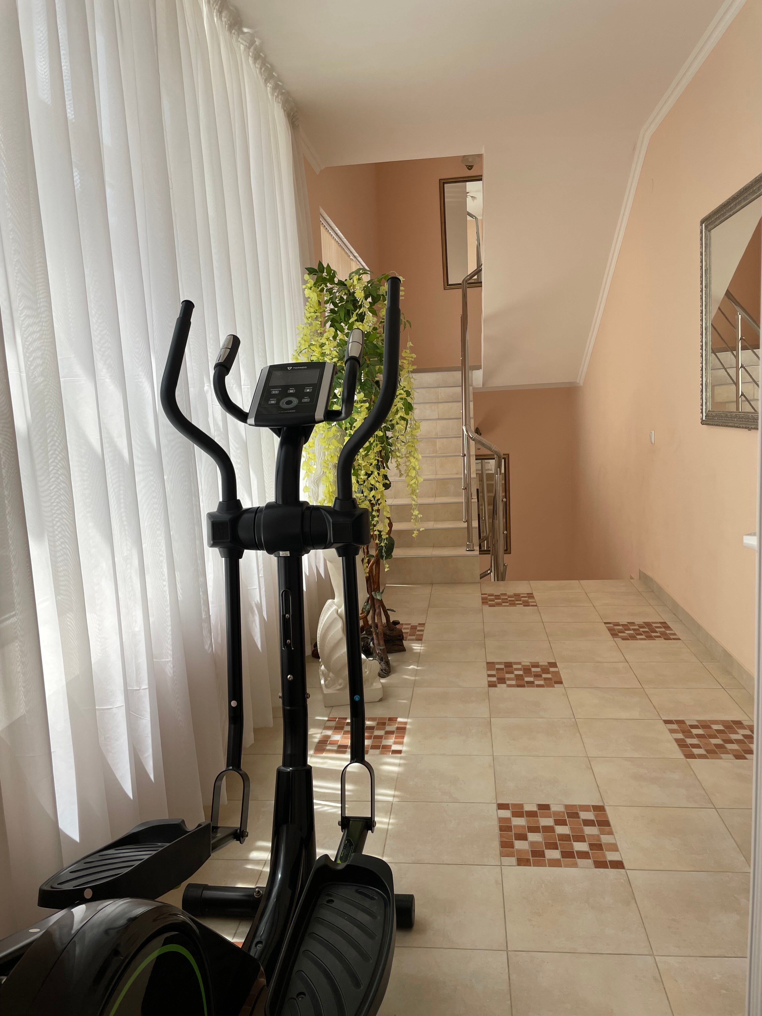 Фото Агрия Джем