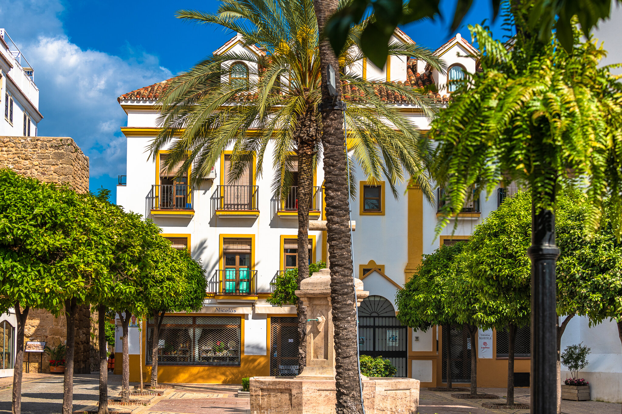 Фото 195612454276