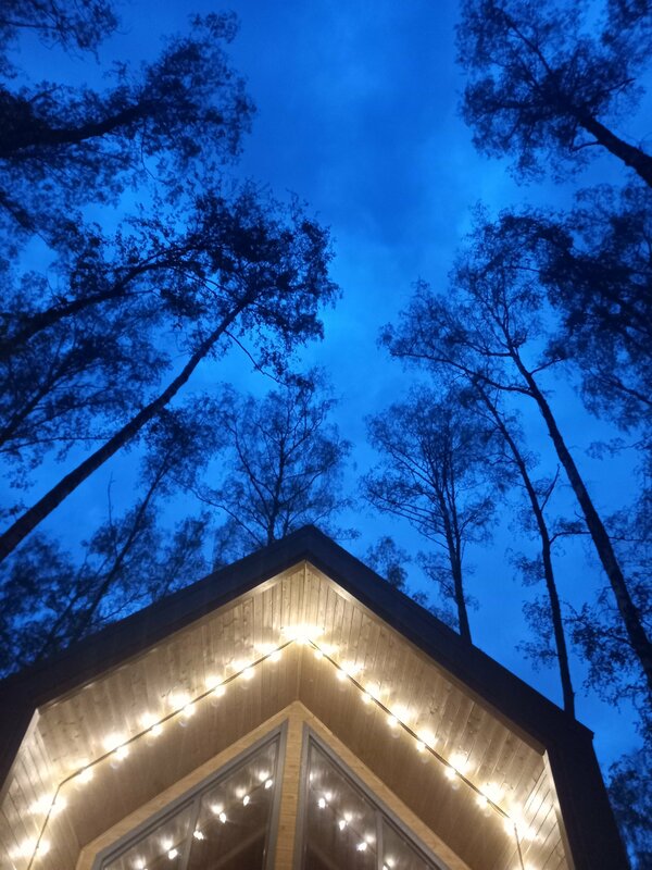 Forest Glamp — фото 16