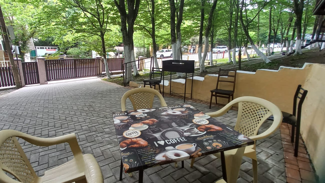 Фото Аммонит