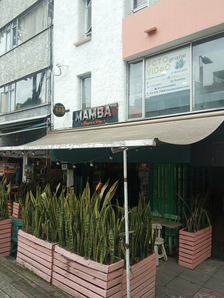 Bar, pub Mamba wings, Bogota, photo
