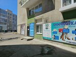 Sholk (ulitsa Borodina, 56), beauty salon