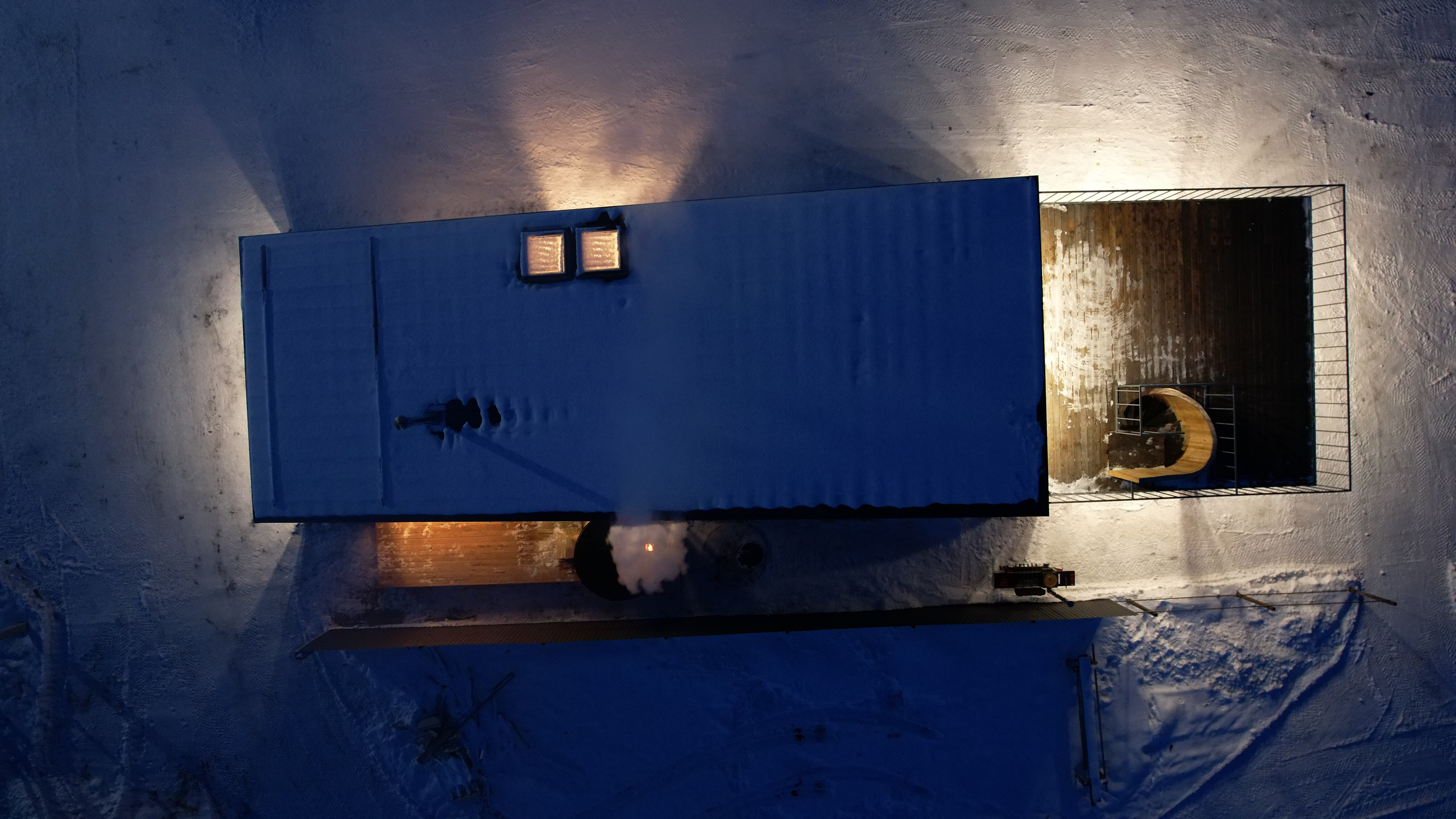 Фото Жимолость