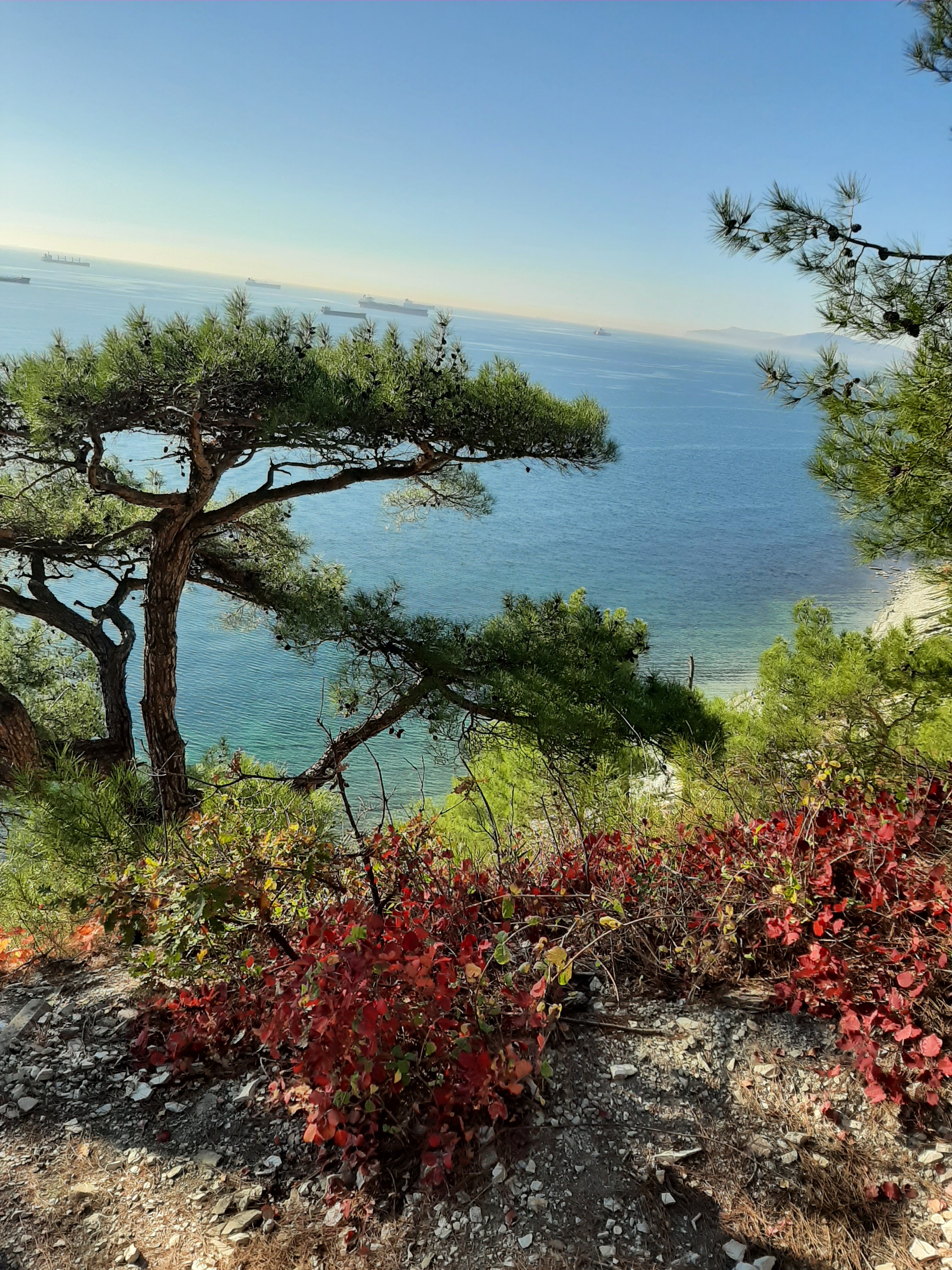 Фото Морской