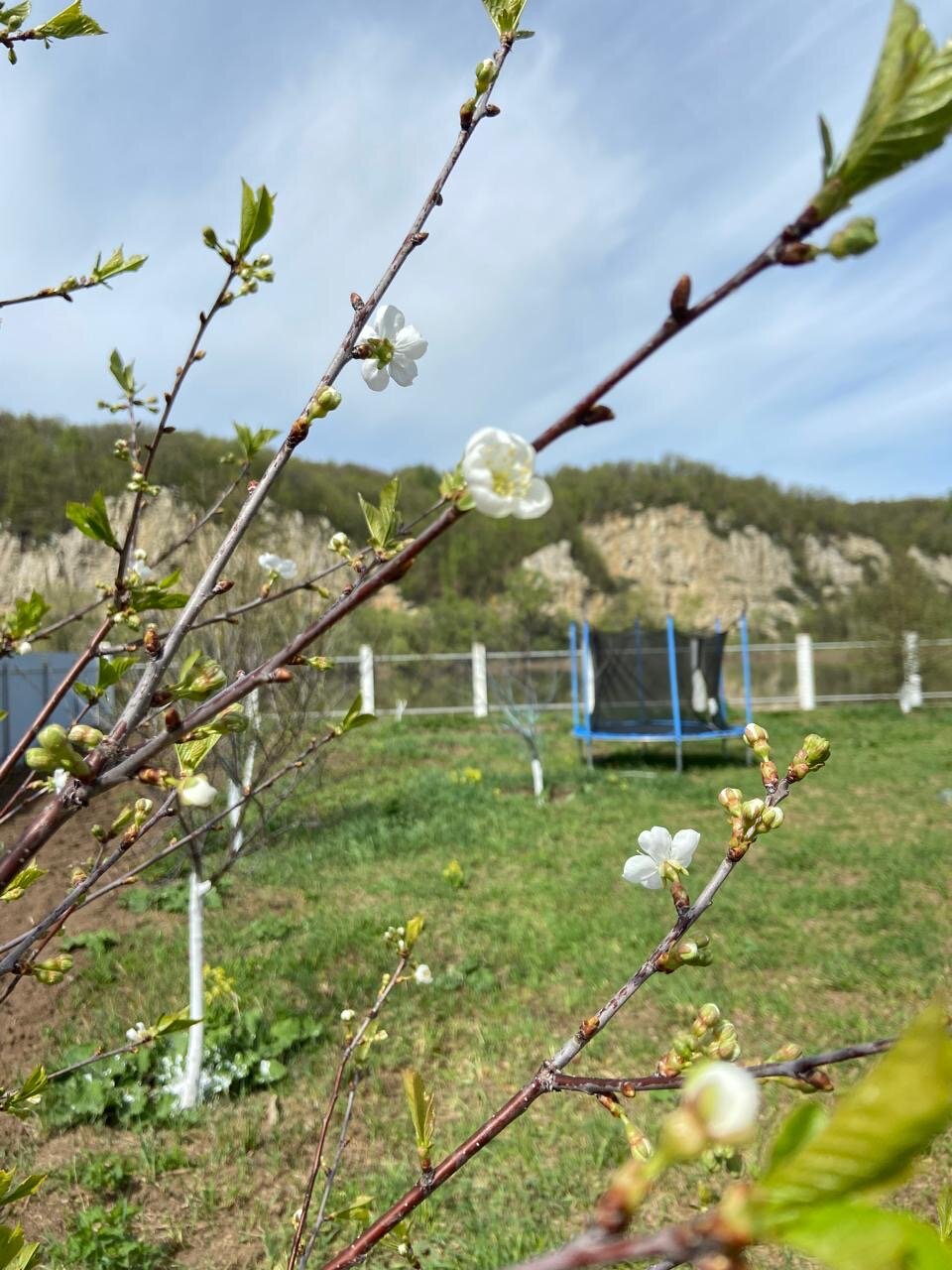 Фото Дача_РБ