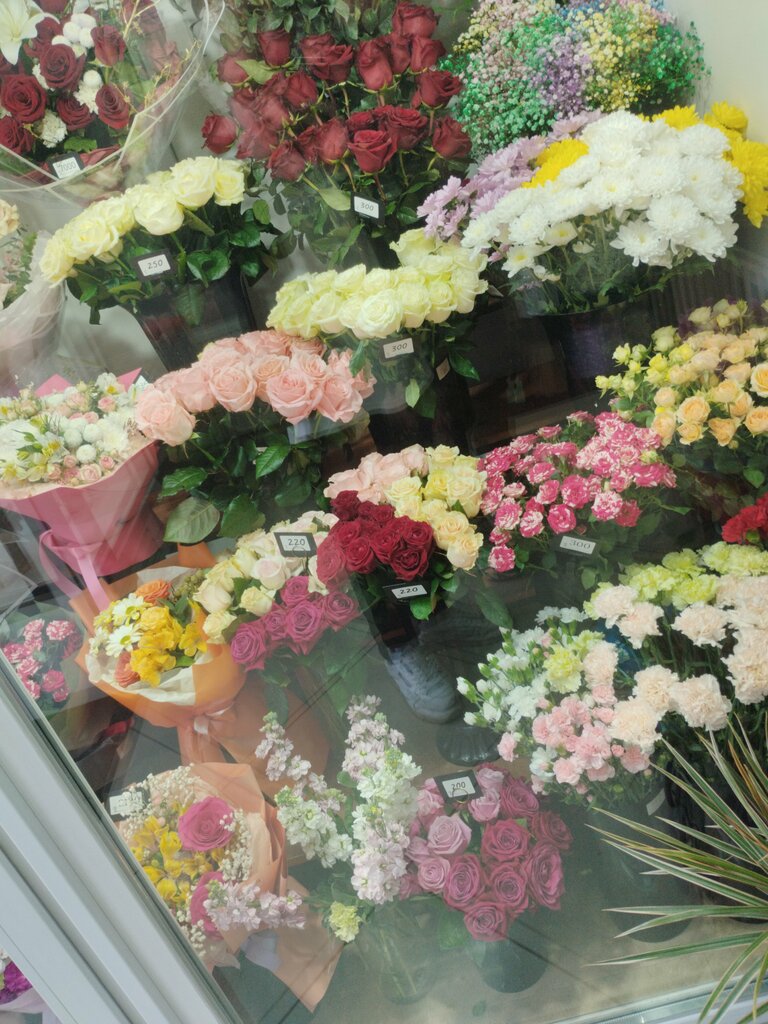 Павел Головатенко