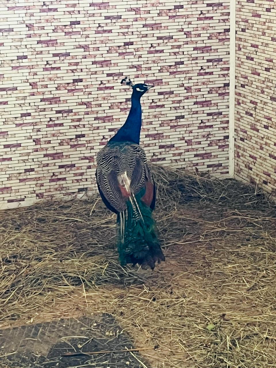 Фото Дивная бухта