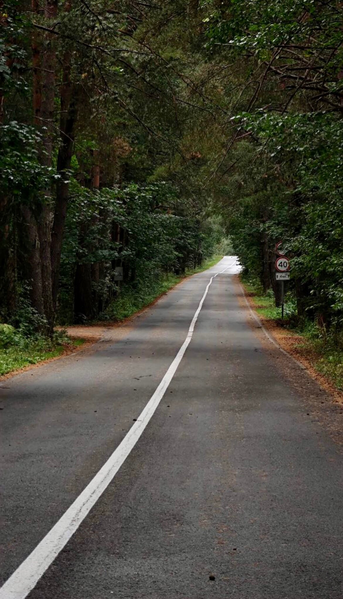 Фото Малинки