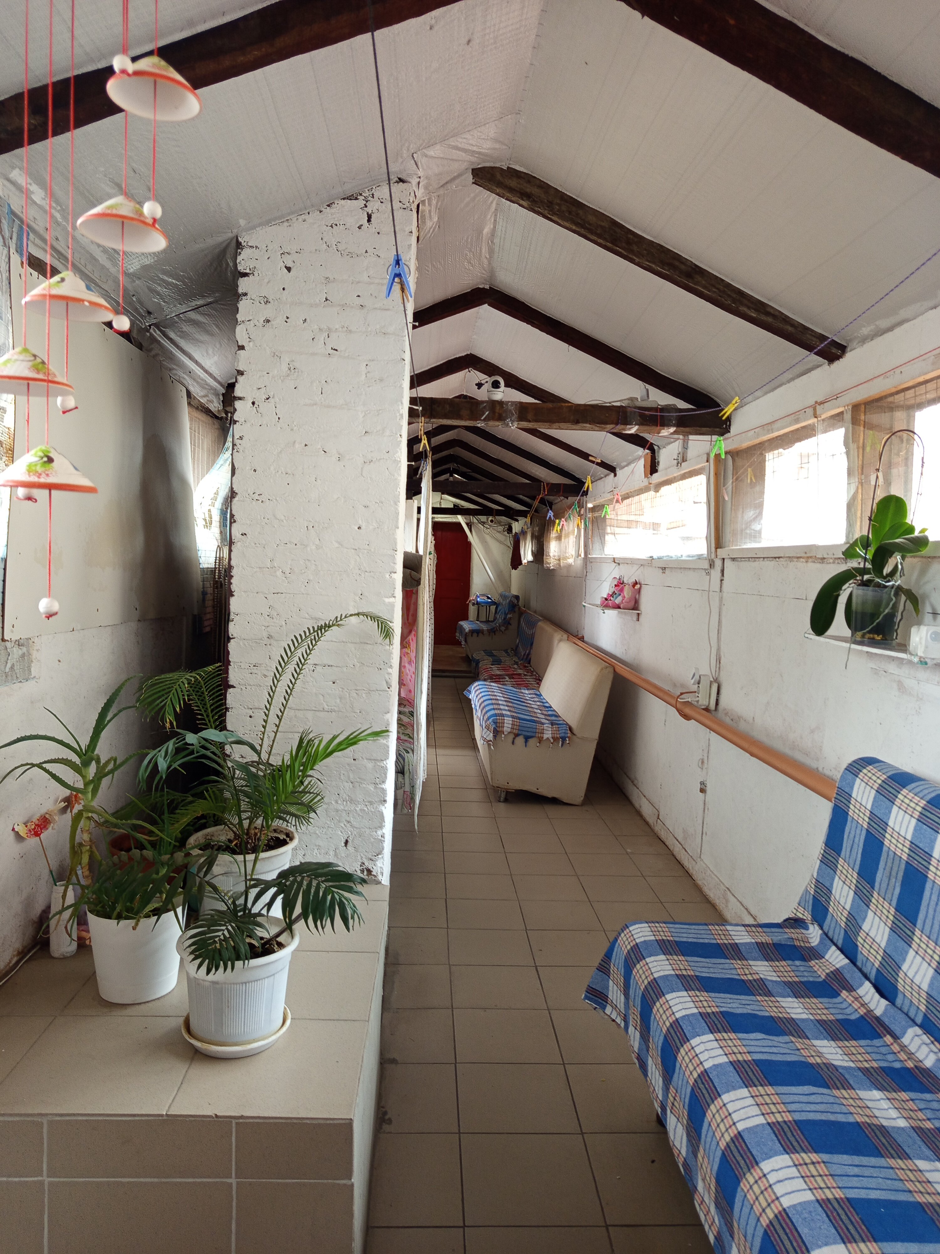 Фото Ялта Графский