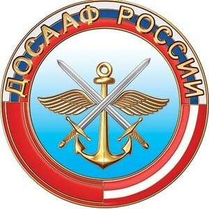 Логотип автошколы «Автошкола ДОСААФ на Южном»
