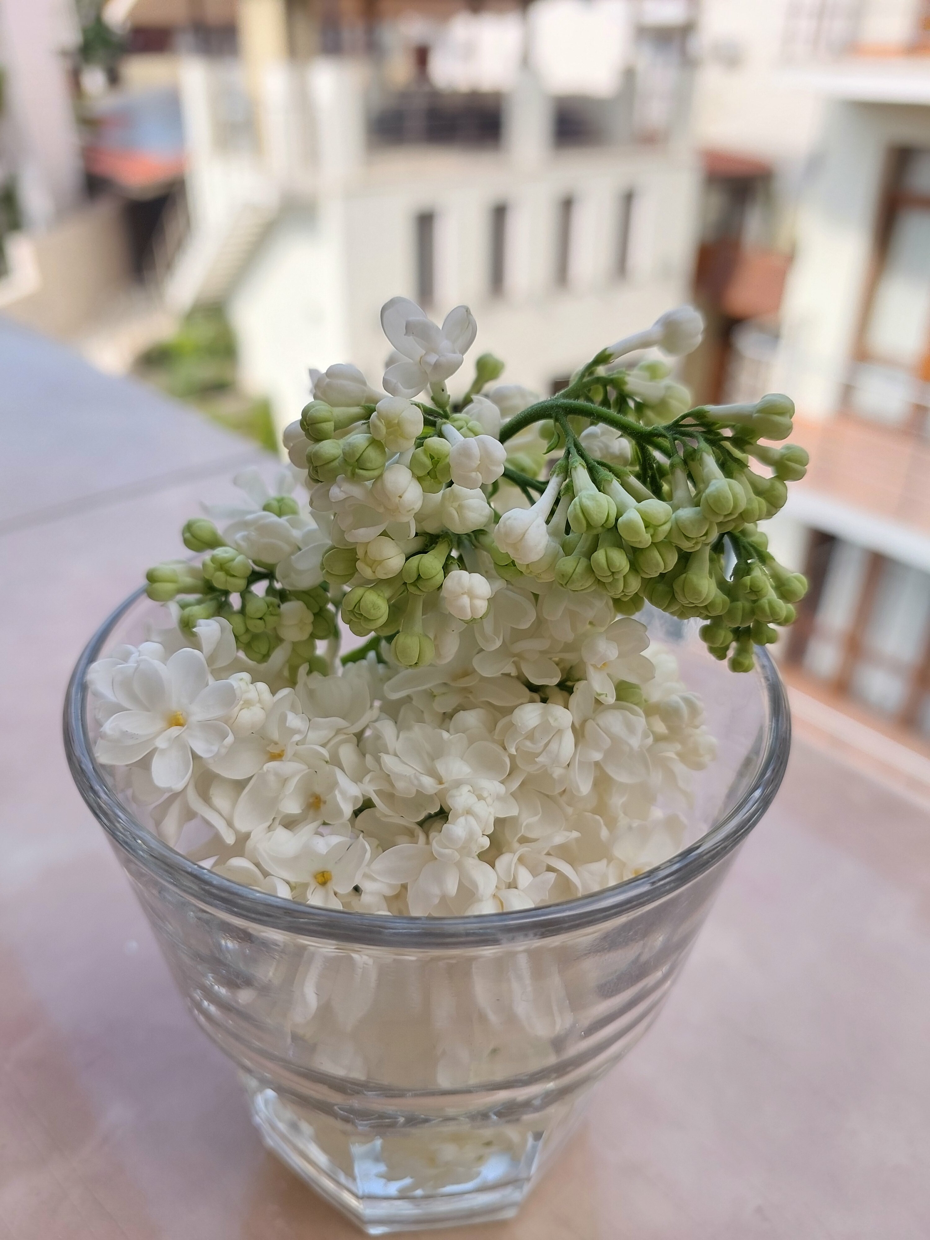 Фото Дом Гайбулло