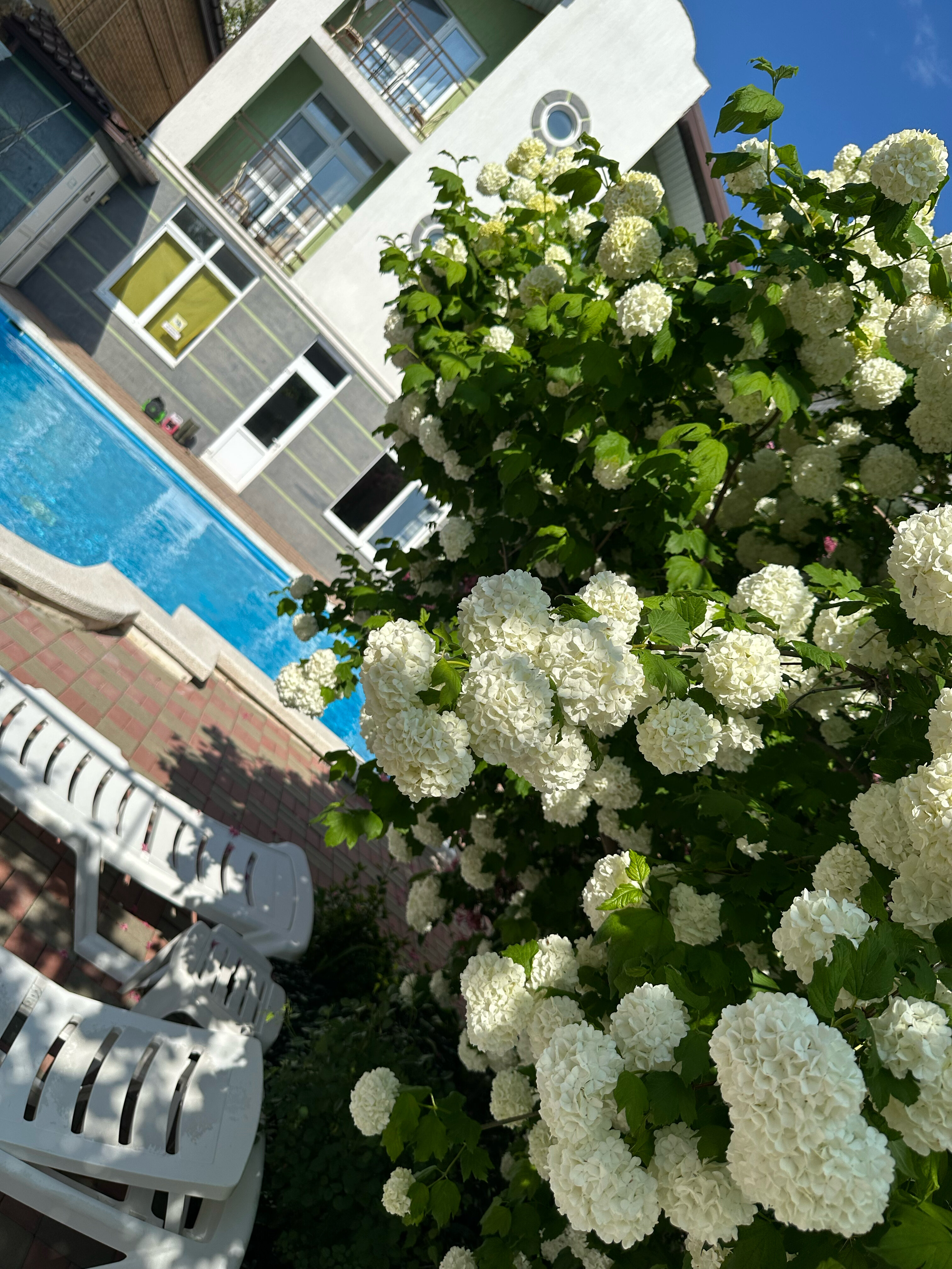 Фото У Боцмана