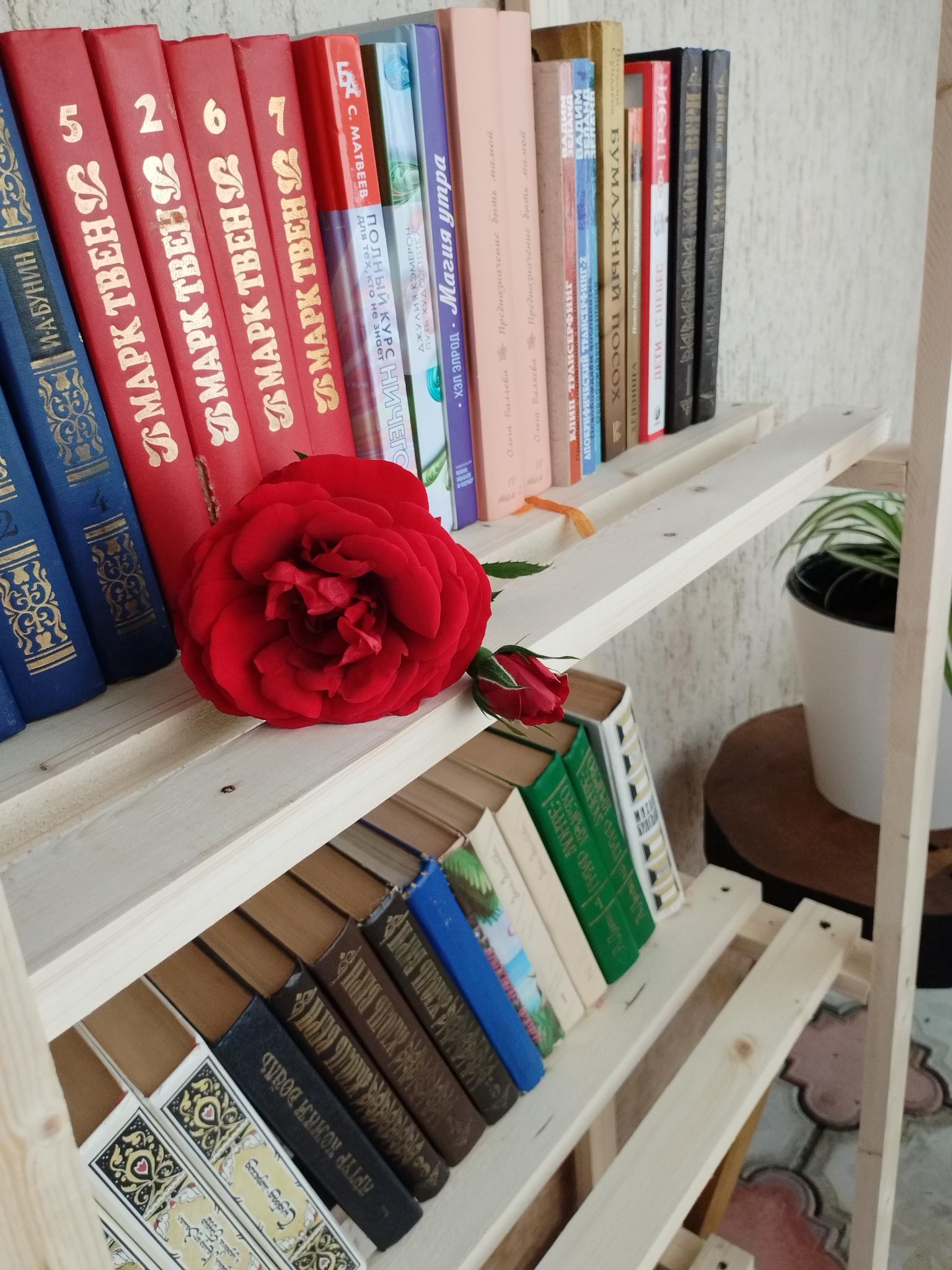 Фото Галиот