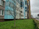 Северный стиль (Plesetskaya Street, 16) ، سلطة إسكان بلدية