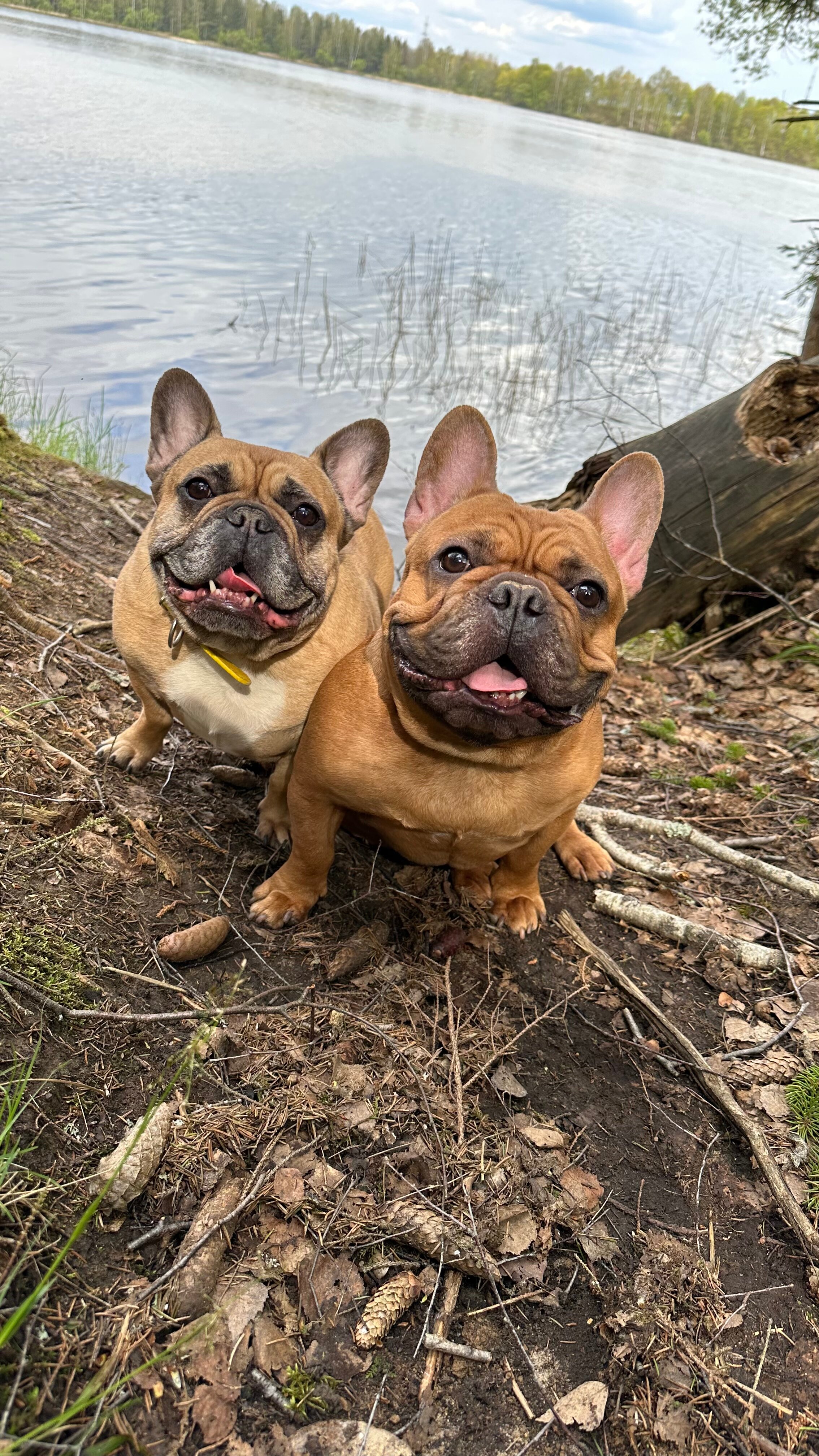 Фото Rodioncevo Eco Village