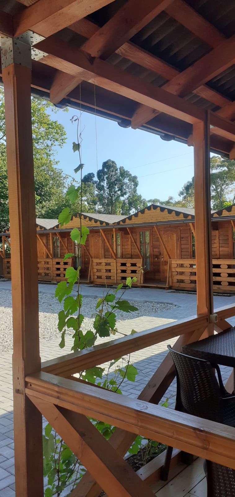 Фото Малина