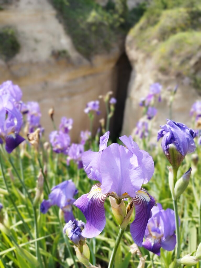 Landmark, attraction Pigeon Valley, Nevsehir, photo