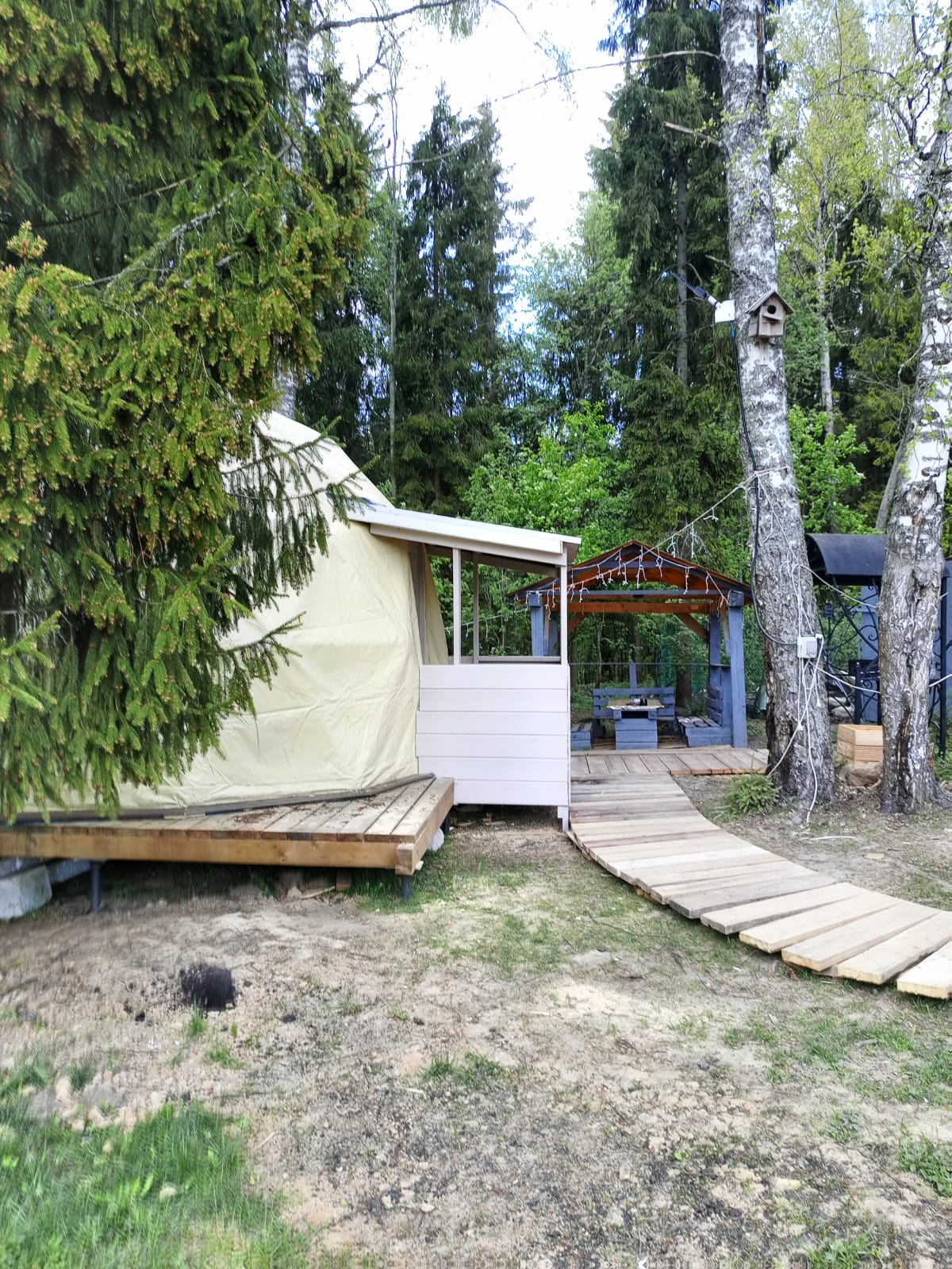 Фото Прованс