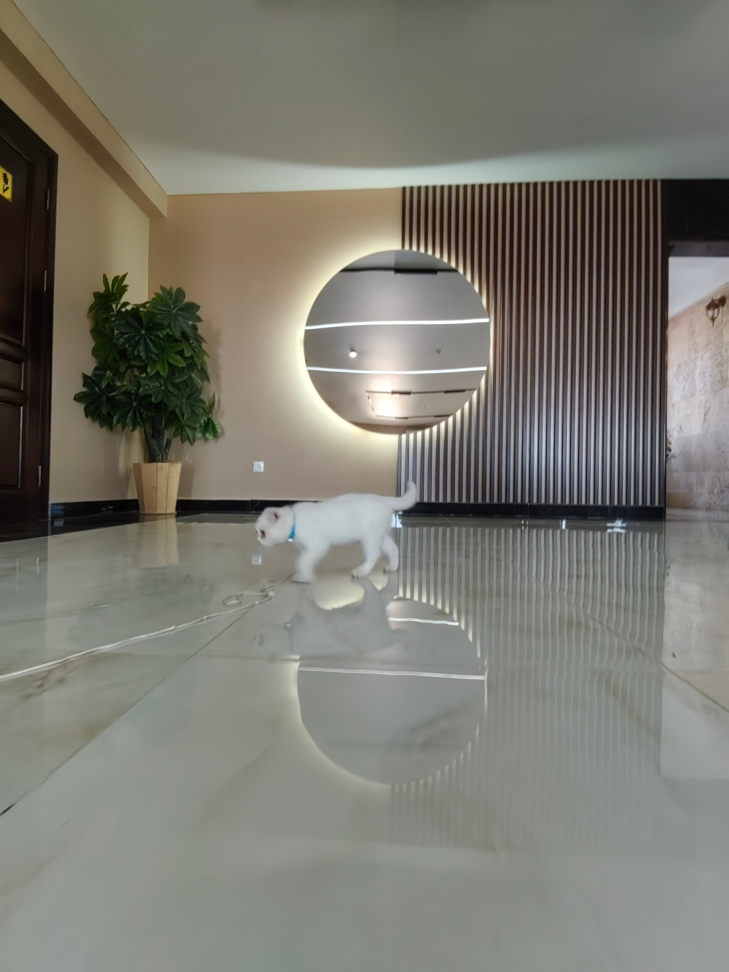 Фото TS Дербент