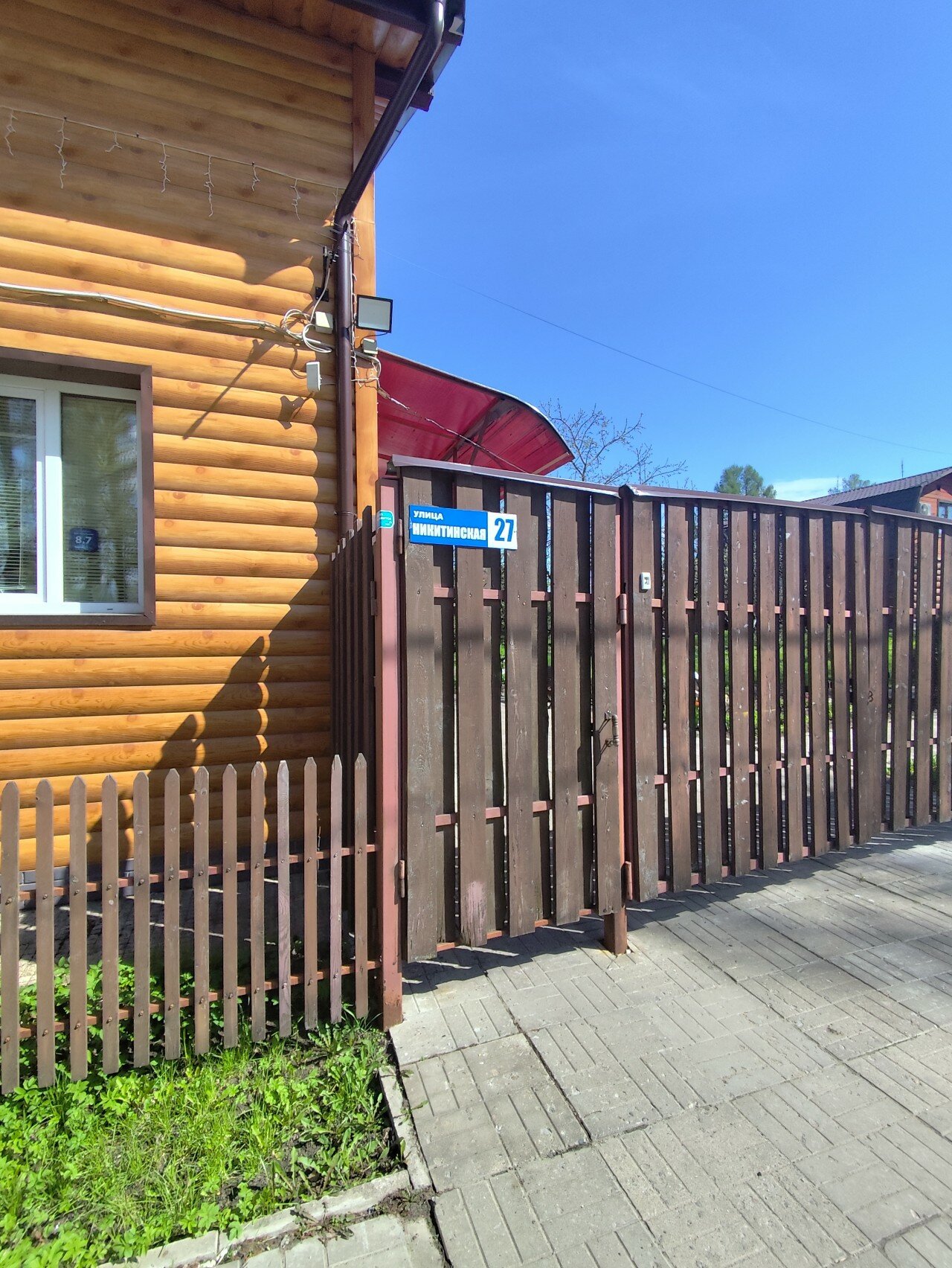 Фото Берёзка