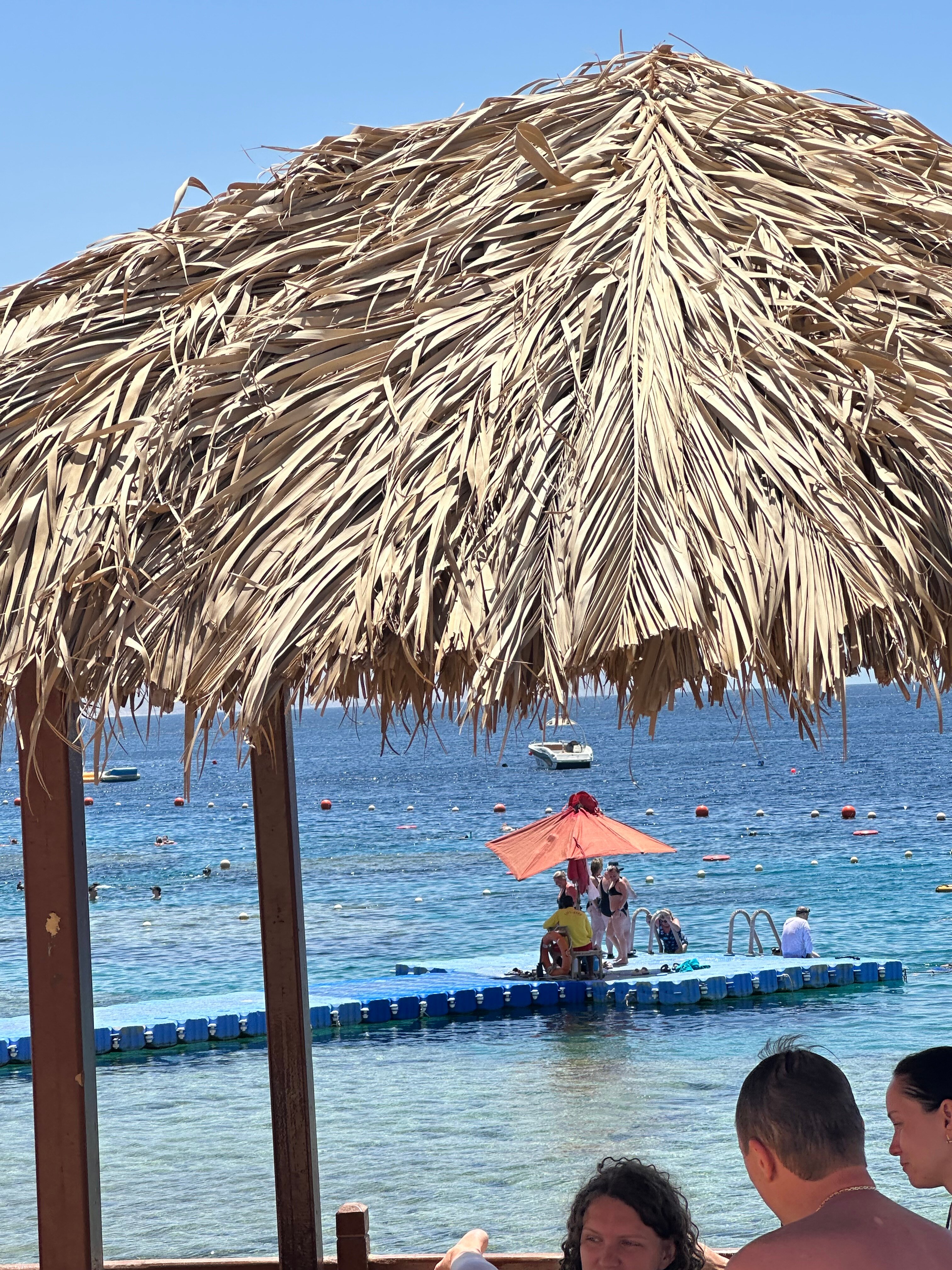 Фото DoubleTree by Hilton Sharm El Sheikh - Sharks Bay Resort