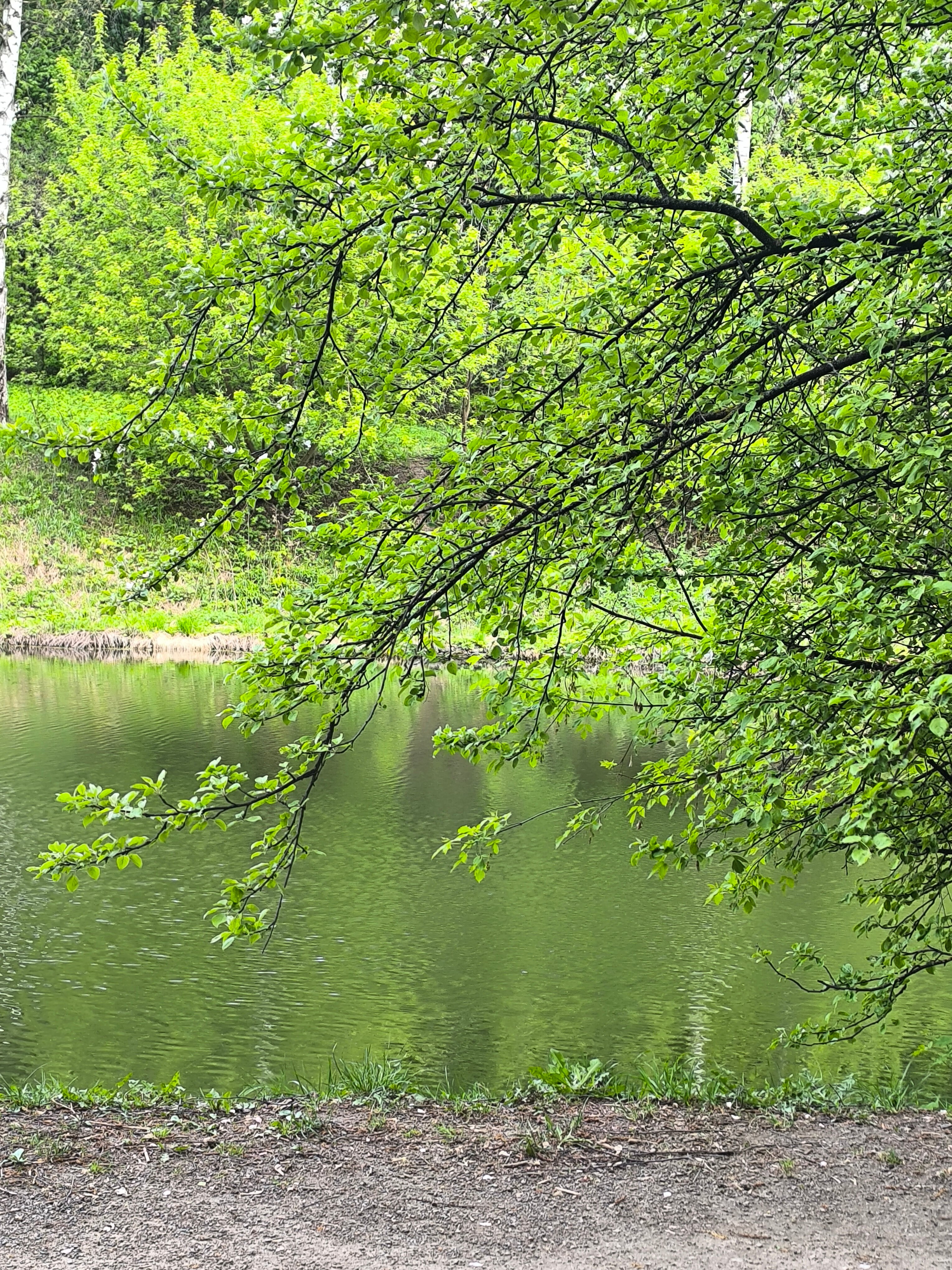 Фото Зодиак